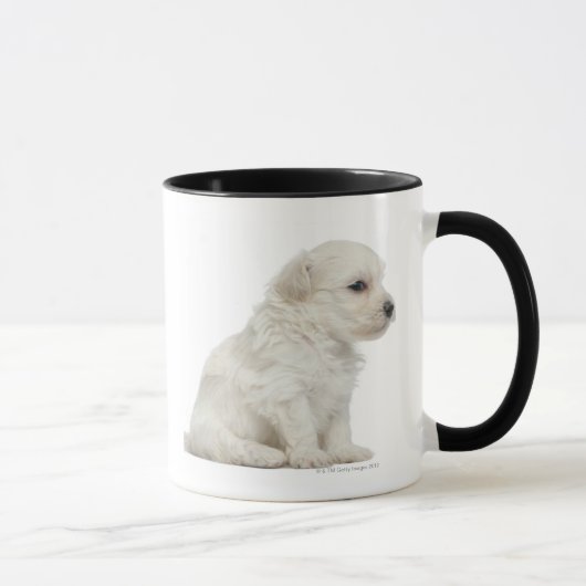 Kleiner Chien-Löwe oder kleiner Löwe-Hundewelpe Tasse (Rechts)