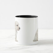 Kleiner Chien-Löwe oder kleiner Löwe-Hundewelpe Tasse (Zentrum)