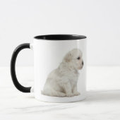 Kleiner Chien-Löwe oder kleiner Löwe-Hundewelpe Tasse (Links)