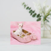 Kleiner Chihuahua in den rosa girly Schuhen mit Postkarte (Stehend Vorderseite)