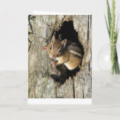 Kleiner Chipmunk Karte (Rückseite)