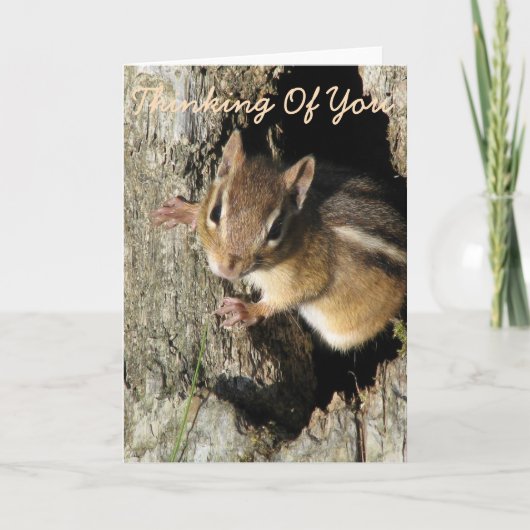 Kleiner Chipmunk Karte (Vorderseite)