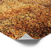 KLEINER DAZZLE (HERD) DER ZEBRA-GRAZING POSTER (Ecke)