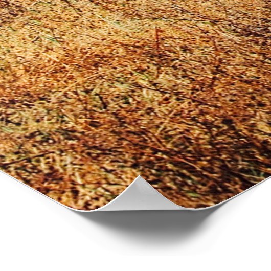 KLEINER DAZZLE (HERD) DER ZEBRA-GRAZING POSTER (Ecke)