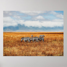 KLEINER DAZZLE (HERD) DER ZEBRA-GRAZING POSTER