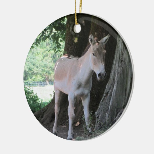 Kleiner Donkey Keramikornament (Links)