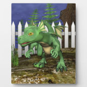 Kleiner Drache Fotoplatte (Vorderseite)