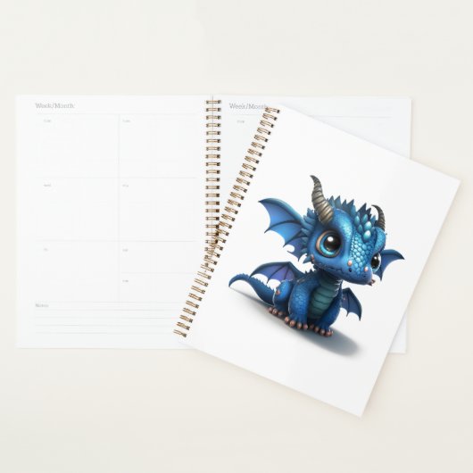 Kleiner Drache Planer (Anzeige)