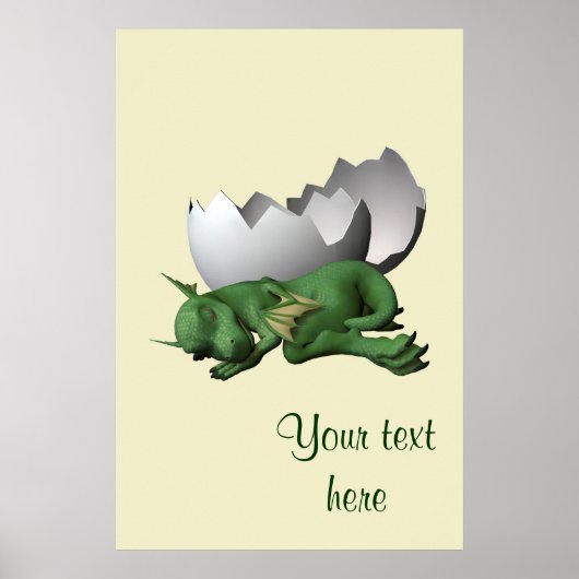 Kleiner Drache Poster (Vorne)