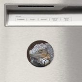 Kleiner Drachenmagnet Magnet (In Situ (Geschirrspüler))