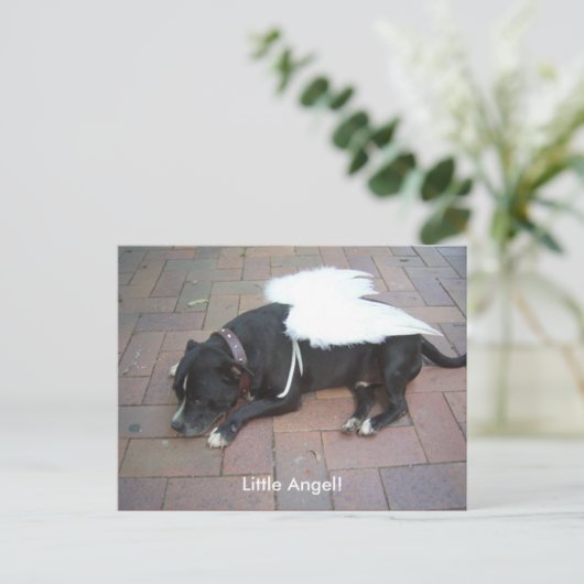 Kleiner Engel! Postkarte (Stehend Vorderseite)