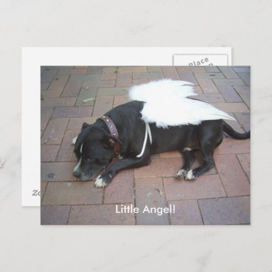 Kleiner Engel! Postkarte (Vorne/Hinten)