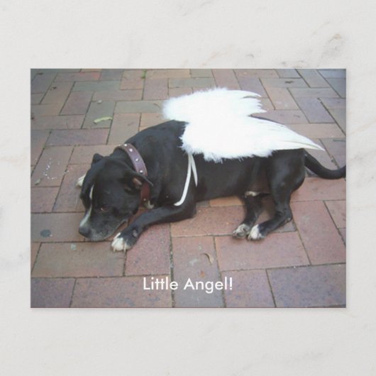Kleiner Engel! Postkarte (Vorderseite)