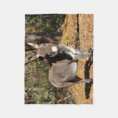 Kleiner Esel Fleecedecke (Vorderseite)