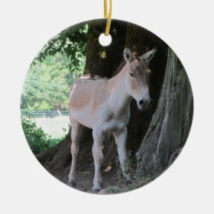 Kleiner Esel Keramikornament
