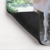 Kleiner Esel Mousepad (Ecke)