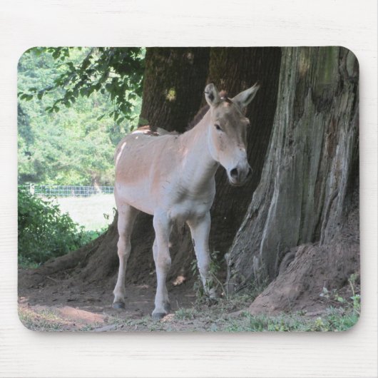 Kleiner Esel Mousepad (Vorne)