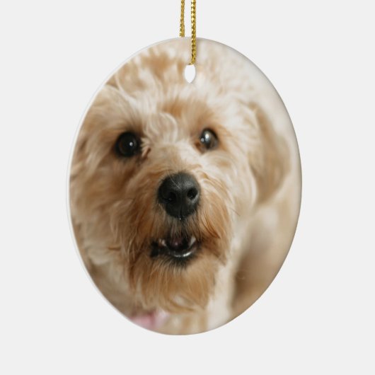 Kleiner fantastischer Abby das Yorkie Poo Keramik Ornament (Rechts)