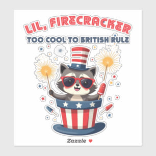 Kleiner Feuerwerk-Waschbär 4. Juli Aufkleber