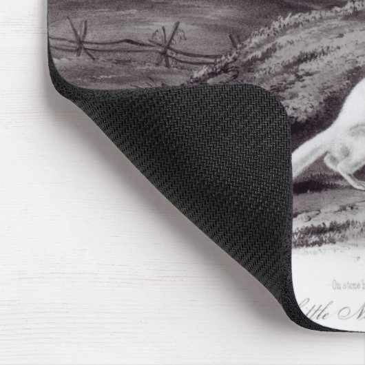 Kleiner flinker Weasel Mousepad (Ecke)