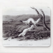 Kleiner flinker Weasel Mousepad (Vorne)