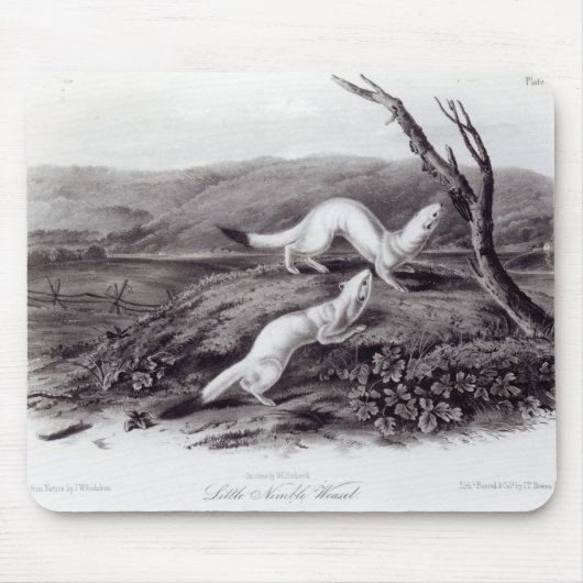 Kleiner flinker Weasel Mousepad (Vorne)