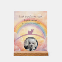 Kleiner Fluffiger Hund Regenbogenbrücke Gedenk Acr