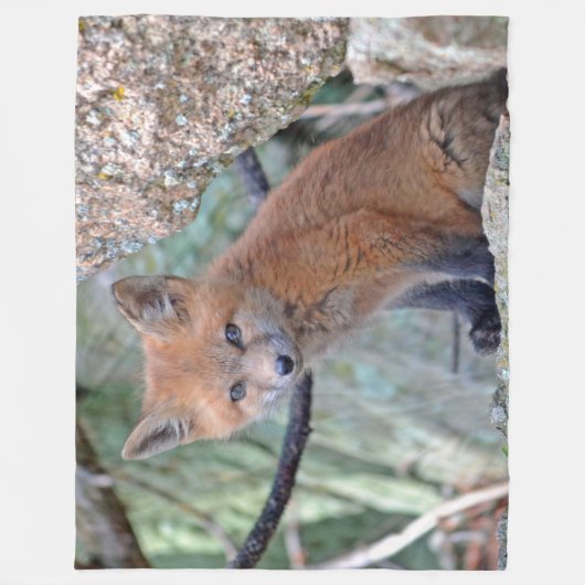 KLEINER FOX FLEECEDECKE (Vorderseite)