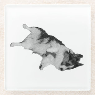 Kleiner Frieden Glasuntersetzer