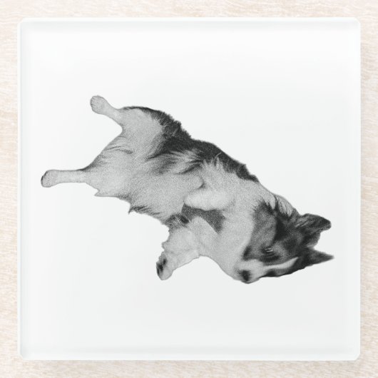 Kleiner Frieden Glasuntersetzer (Vorderseite)