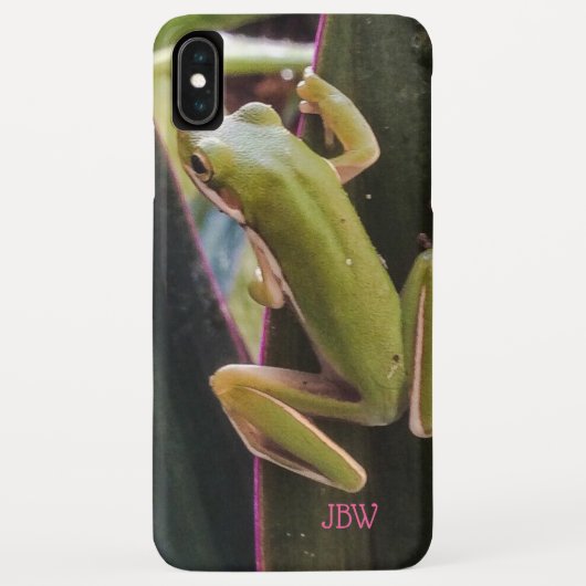 Kleiner Frosch im Garten Case-Mate iPhone Hülle (Rückseite)