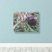 Kleiner Frosch Leinwanddruck (Insitu (Holzboden))