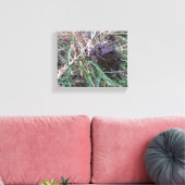 Kleiner Frosch Leinwanddruck (Insitu (Wohnzimmer))