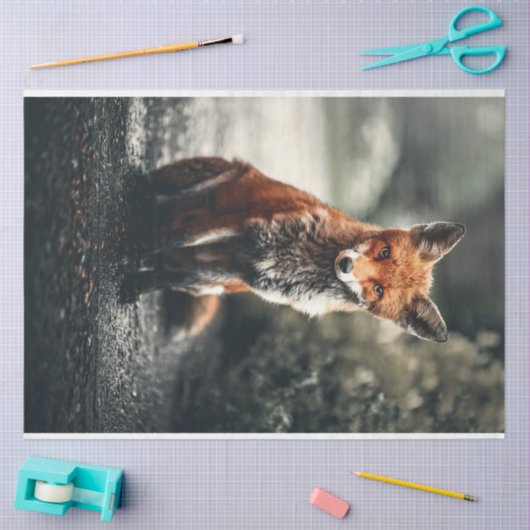 Kleiner Fuchs Seidenpapier (Basteln)