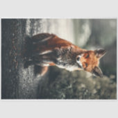 Kleiner Fuchs Seidenpapier (Vorderseite)