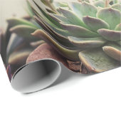 KLEINER GARTENERFOLG GESCHENKPAPIER (Rolleneckpunkt)