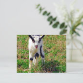 Kleiner Gegenstand für das Ziegenkid Postkarte (Stehend Vorderseite)
