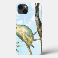 Kleiner Gelbbvogel auf einem Zweig nach oben