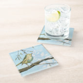 Kleiner Gelbbvogel auf einem Zweig nach oben Glasuntersetzer (Schrägansicht)