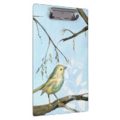 Kleiner Gelbbvogel auf einem Zweig nach oben Klemmbrett (Rechts)