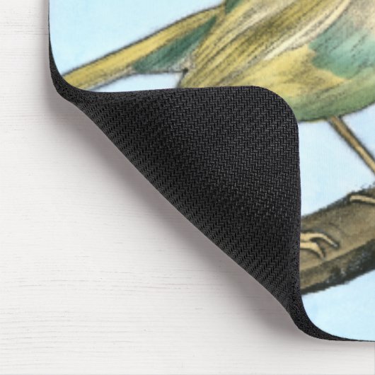 Kleiner Gelbbvogel auf einem Zweig nach oben Mousepad (Ecke)