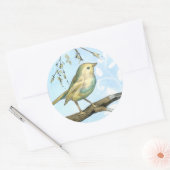 Kleiner Gelbbvogel auf einem Zweig nach oben Runder Aufkleber (Umschlag)