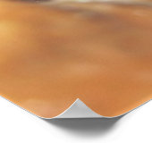 Kleiner Gepunkteter Moray Poster (Ecke)