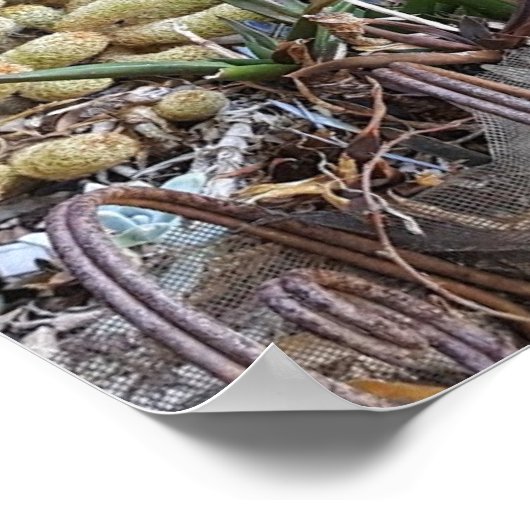 Kleiner Gnome-Zuhause im Wald Poster (Ecke)