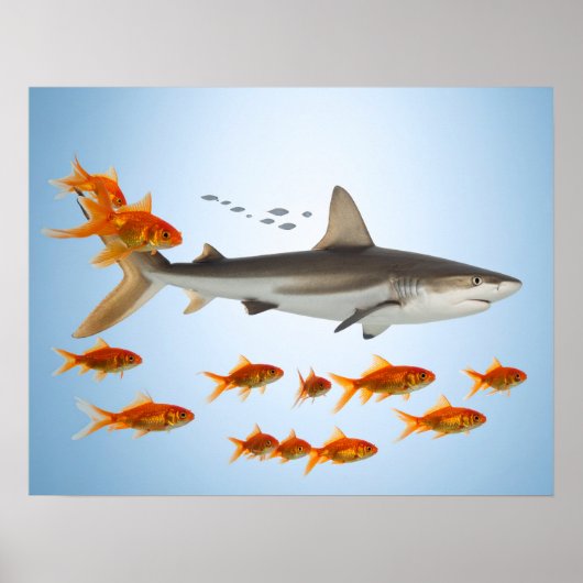 „Kleiner Goldfisch, große Hai-Energie“ Poster (Vorne)