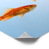 „Kleiner Goldfisch, große Hai-Energie“ Poster (Ecke)