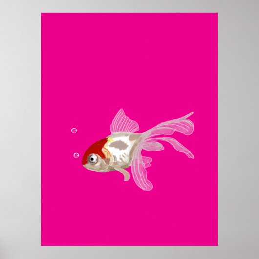 Kleiner Goldfisch -  Poster (Vorne)