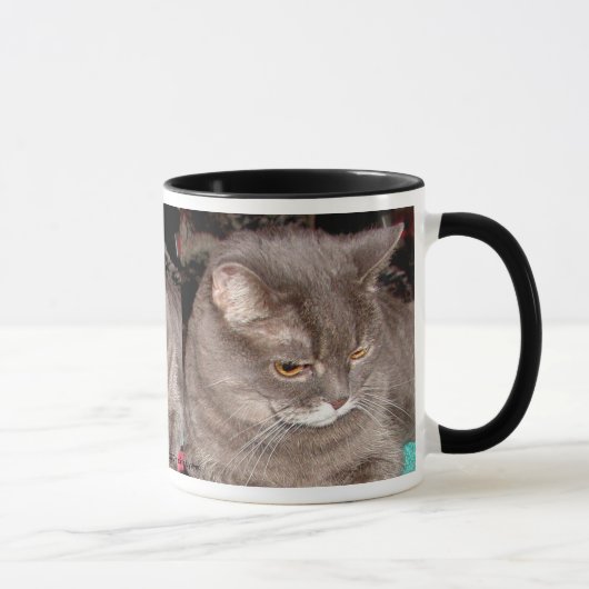 KLEINER GRAUCAT TASSE (Rechts)