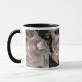 KLEINER GRAUCAT TASSE (Links)