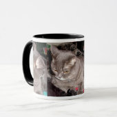 KLEINER GRAUCAT TASSE (Vorderseite Links)